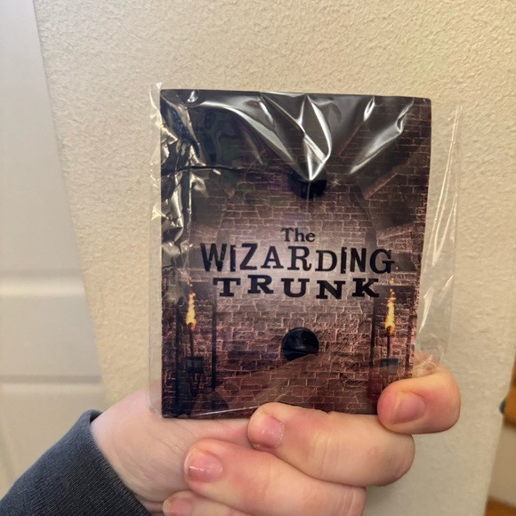 Rubeus Hagrid Limited Edition Wizarding Trunk Large Portrait Pin - Picture 2 of 2